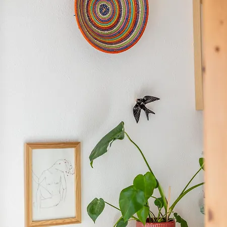 Terracota House - Slow Living In Sao Bras De Alportel, Algarve